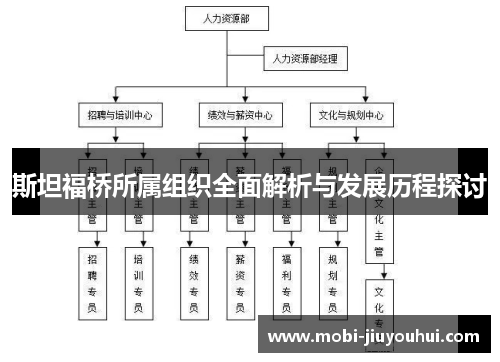斯坦福桥所属组织全面解析与发展历程探讨