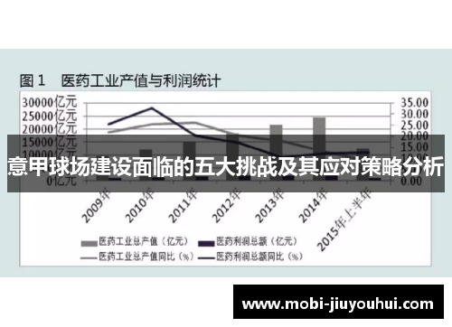 意甲球场建设面临的五大挑战及其应对策略分析 意甲球场建设面临的五大挑战及其应对策略分析