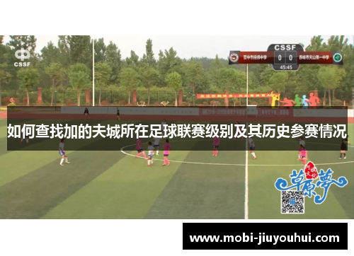 如何查找加的夫城所在足球联赛级别及其历史参赛情况