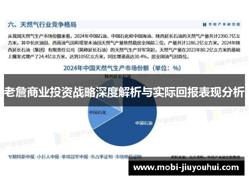 老詹商业投资战略深度解析与实际回报表现分析 老詹商业投资战略深度解析与实际回报表现分析
