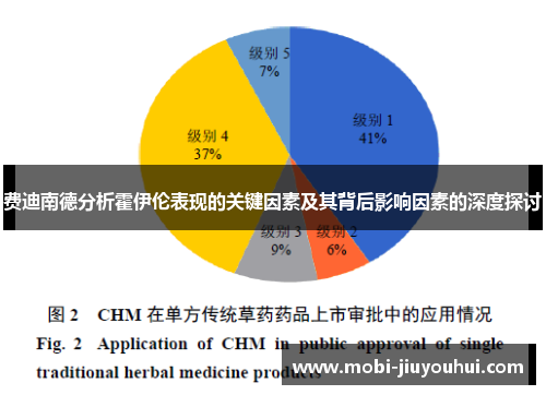 费迪南德分析霍伊伦表现的关键因素及其背后影响因素的深度探讨