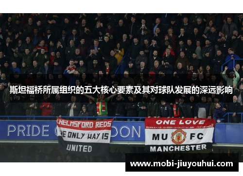 斯坦福桥所属组织的五大核心要素及其对球队发展的深远影响 斯坦福桥所属组织的五大核心要素及其对球队发展的深远影响